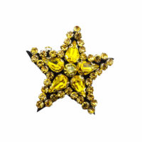 beaded star motif